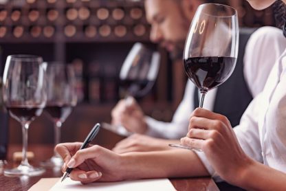 Tour Privato del vino Montecarlo DOC (da Viareggio) - immagine 9