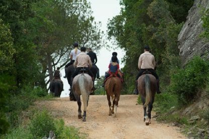 Horse riding in Tuscany (from Montecatini) - Image 2