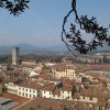 Lucca Walking Group Tour from Montecatini - Image 2