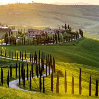 Chianti Wine & Vinci Private Tour from Montecatini Terme