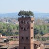 Lucca Walking Group Tour from Montecatini - Image 3