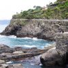 Cinque Terre Small Group Tour (from Viareggio, Versilia) - Image 4