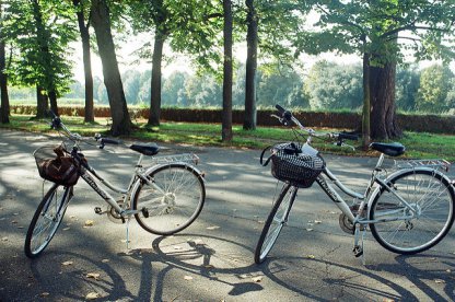 Guided Bike Tour of Lucca from Montecatini - Image 4
