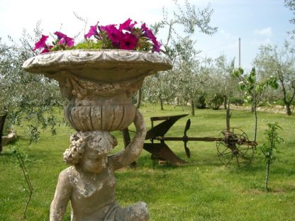 Cena Romantica a bordo Piscina in Villa Toscana (da Montecatini) - immagine 4