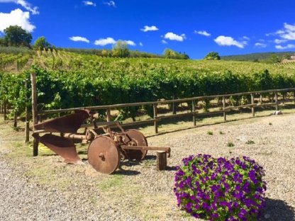Vinci & Vino Chianti Tour di Gruppo da Montecatini Terme - immagine 5