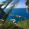 Cinque Terre Small Group Tour (from Viareggio, Versilia) - Image 5