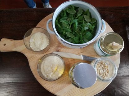 Lezioni di Cucina in Fattoria Toscana (da Viareggio) - immagine 5