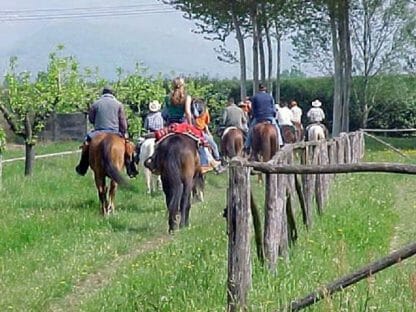 Horse riding in Tuscany (from Montecatini) - Image 5