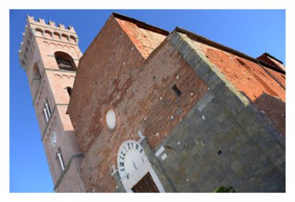 Super Tuscan Wine Small Group Tour (from Viareggio) - Image 5