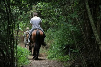 Horse riding in Tuscany (from Montecatini) - Image 7