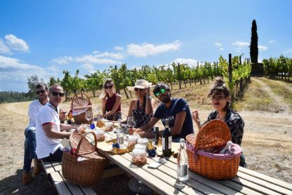 Exclusive Chianti Classico Wine Tasting with Gourmet PICNIC - Image 4