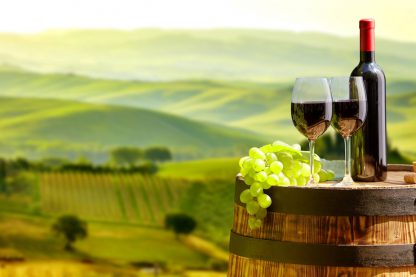 Exclusive Chianti Classico Wine Tasting with Gourmet PICNIC - Image 5