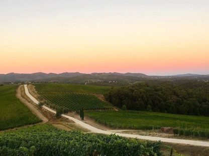 Exclusive Chianti Classico Wine Tasting with Gourmet PICNIC - Image 7