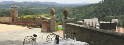 LUXURY Chianti and Brunello Private Wine Tour