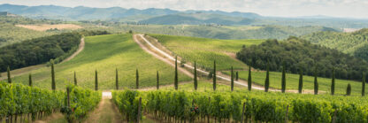 LUXURY Chianti and Brunello Private Wine Tour