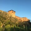 Wine Tour of Montecarlo