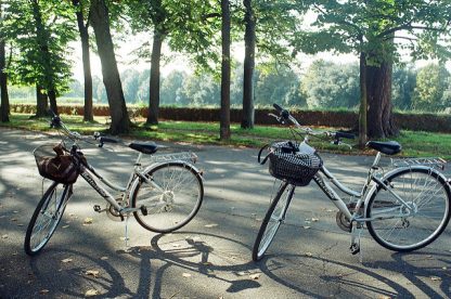 Tour guidato di Lucca in bicicletta (da Pisa) - immagine 2