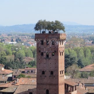 Lucca Low Cost (da Pisa)