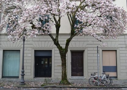 Tour guidato di Lucca in bicicletta (da Pisa) - immagine 5