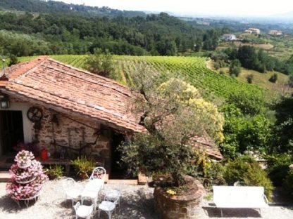 Wine Tour of Lucca Hills (from Pisa) - Image 5