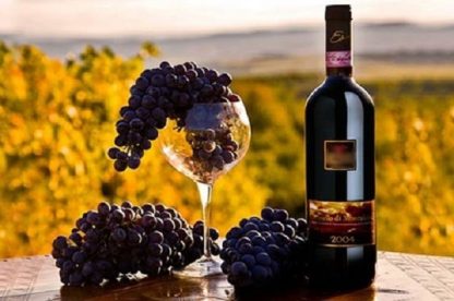 Cena Toscana a Lume di Candela in Tenuta vinicola (da Pisa) - immagine 4