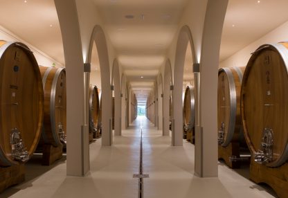 Lussuosa Degustazione Privata di Vino Chianti e Brunello - immagine 4