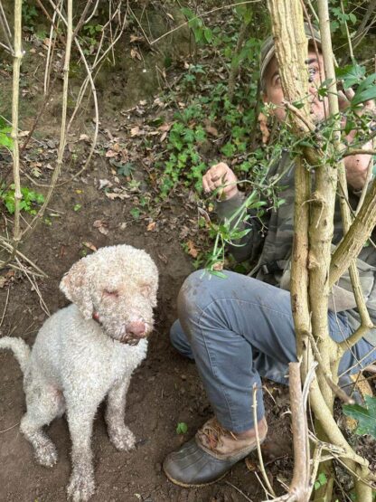 Truffle Hunting in Tuscany Private tour from Lucca - Image 9