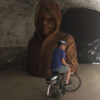 E-BIKE & Wine Tour; Vini delle colline di Lucca (da Lucca) - immagine 10