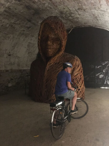 E-BIKE & Wine Tour; Vini delle colline di Lucca (da Lucca) - immagine 10