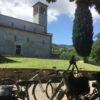 E-BIKE & Wine Tour; Vini delle colline di Lucca (da Lucca) - immagine 8